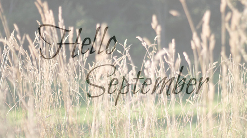 1564695-11-1346491336944_large