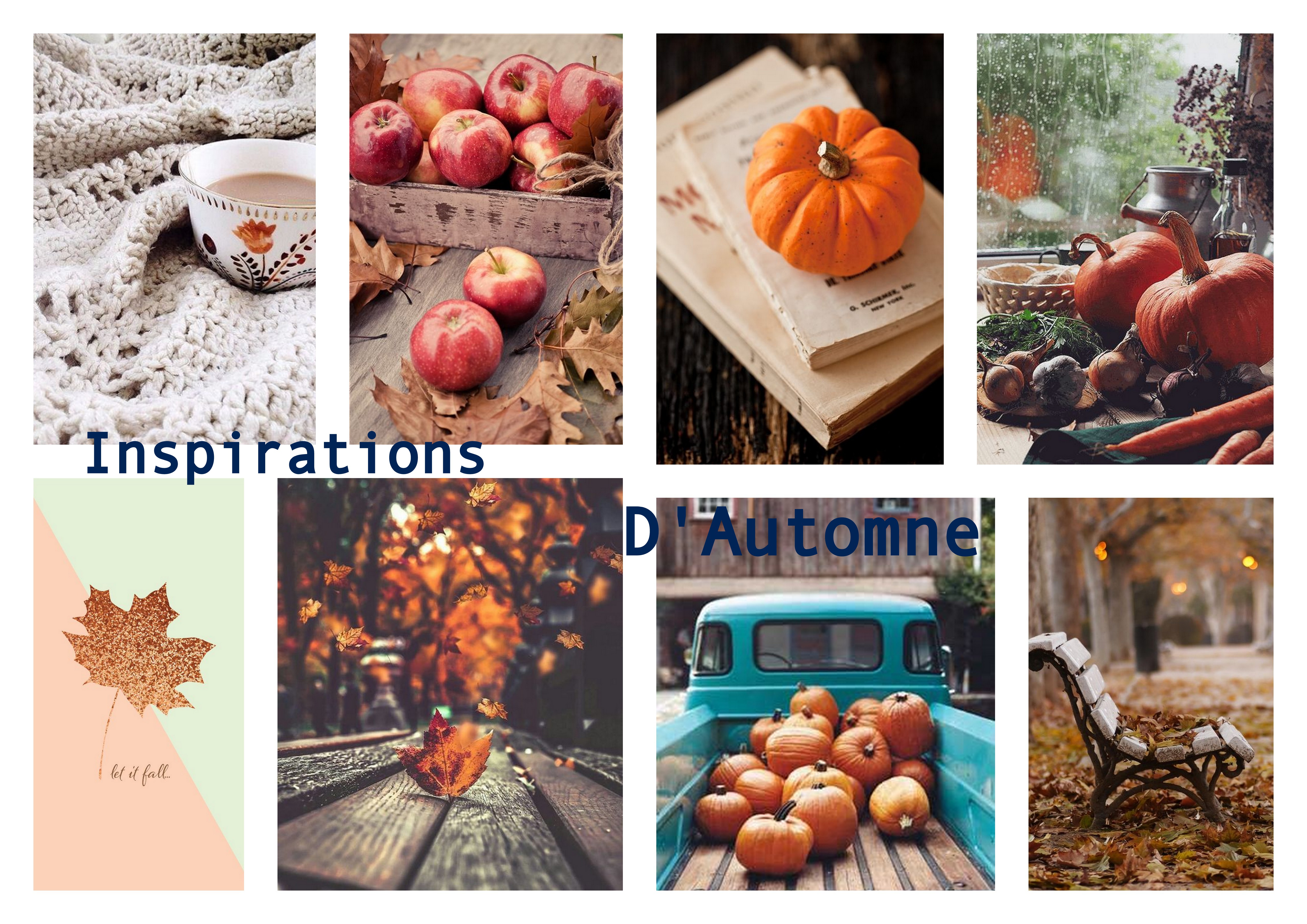 Inspirations Automne-004