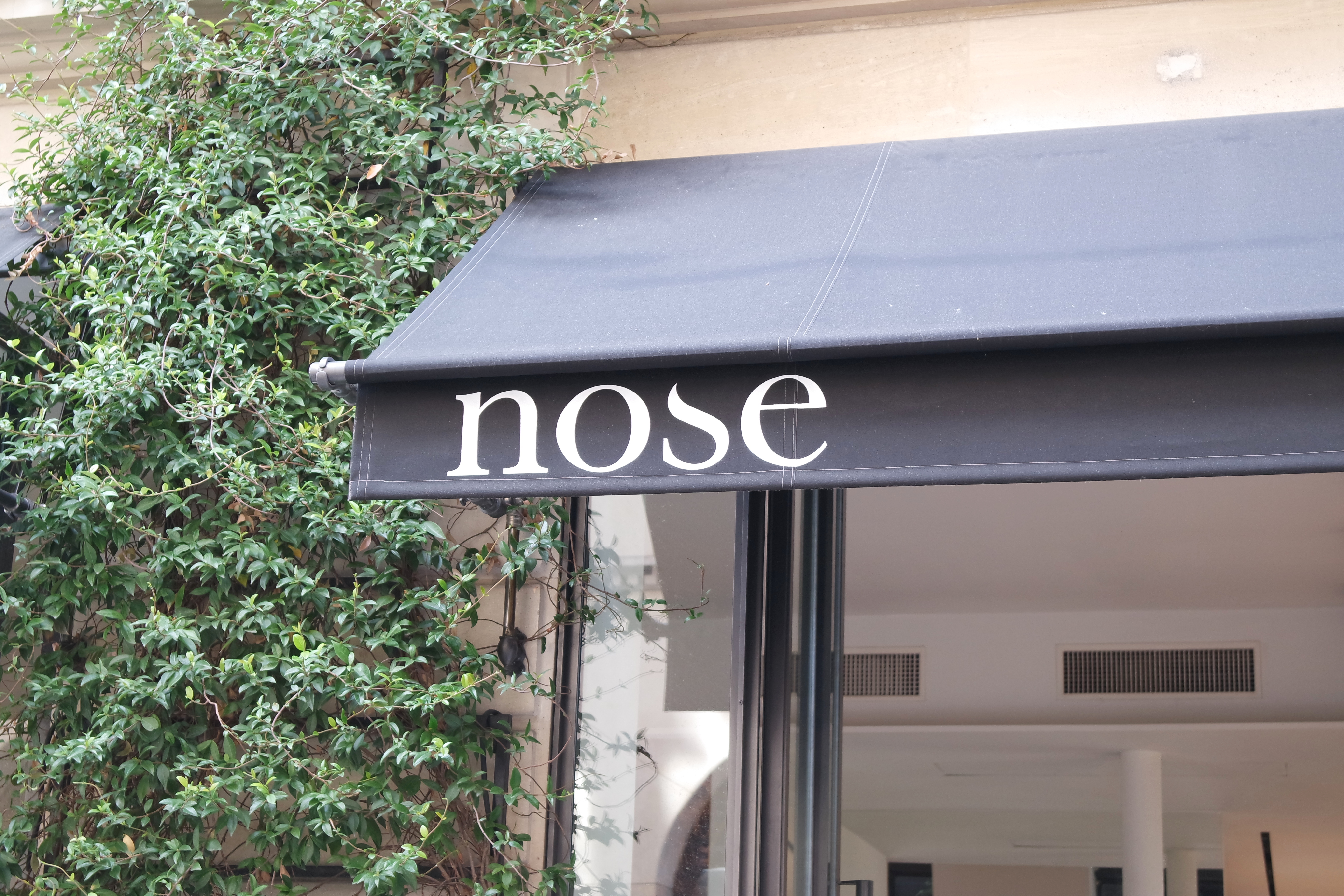 Nose Celest-in.fr
